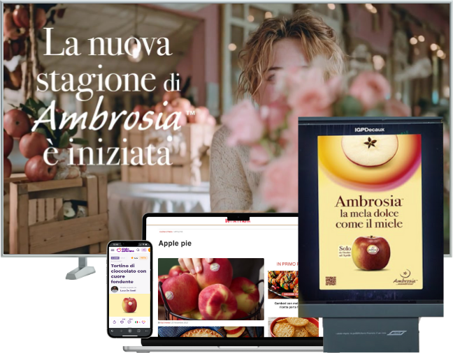 Collaboratrices ZBO Media travaillent dans l'open space