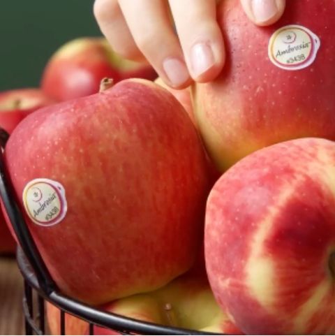 Une influence enregistre un podcast et se filme